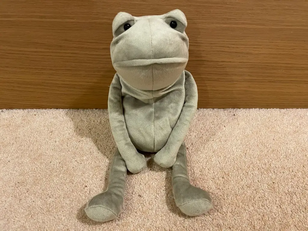 Medium Fergus Frog 25th Anniversary